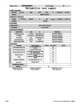 Pages-From-kekaoxingceshibaogao12.jpg